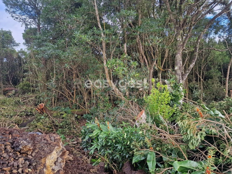 Terreno para Venda em Bandeiras Foto 5