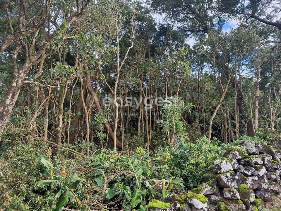 Terreno para Venda em Bandeiras Foto 6