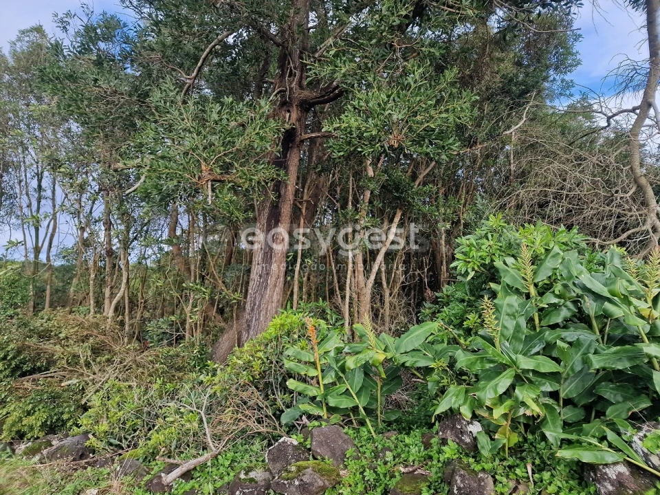 Terreno para Venda em Bandeiras Foto 7