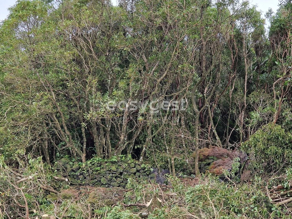 Terreno para Venda em Bandeiras Foto 8