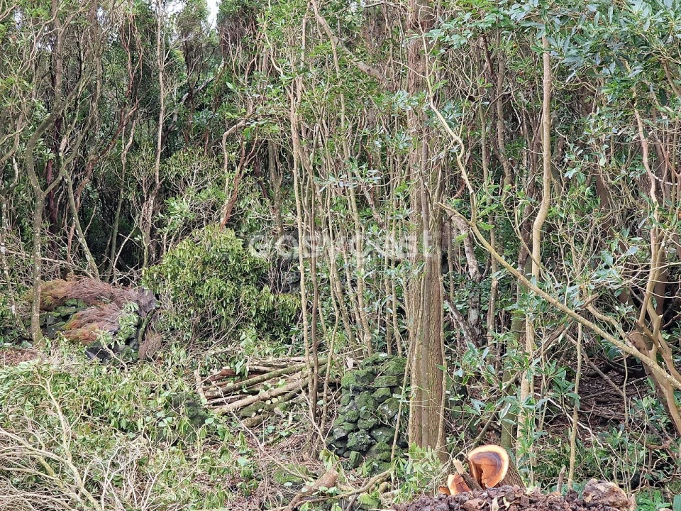 Terreno para Venda em Bandeiras Foto 9
