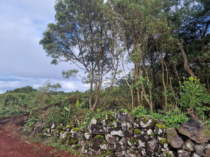 Terreno para Venda em Bandeiras Foto 16