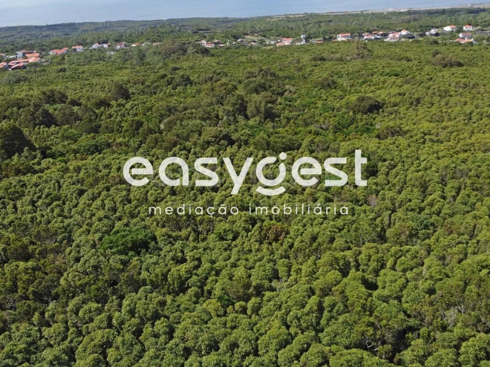 Terreno para Venda em Bandeiras Foto 2