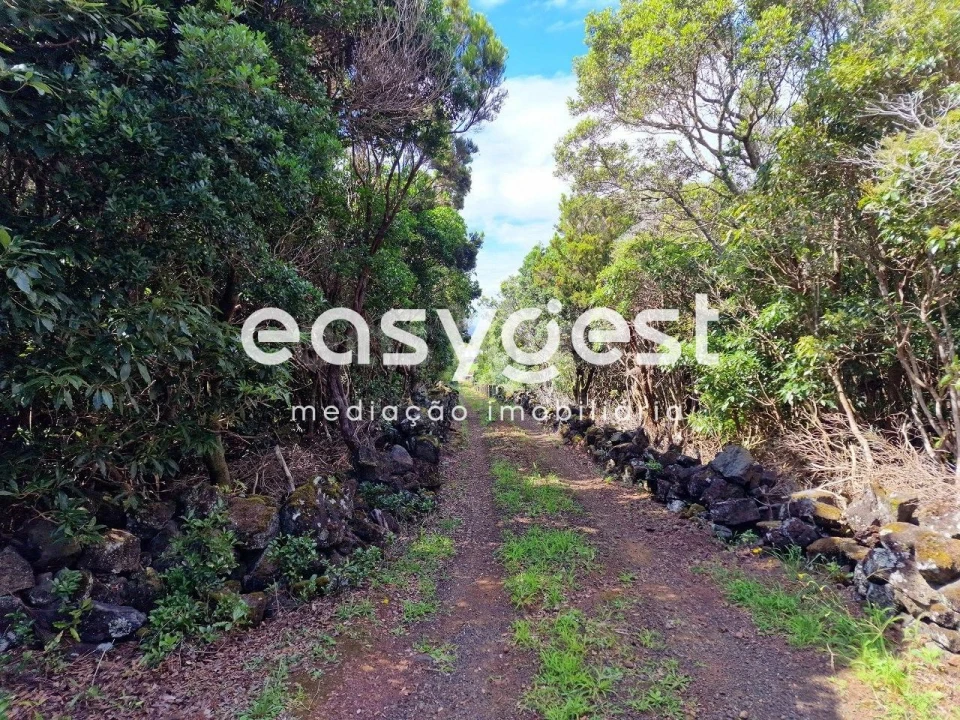 Terreno para Venda em Bandeiras Foto 6