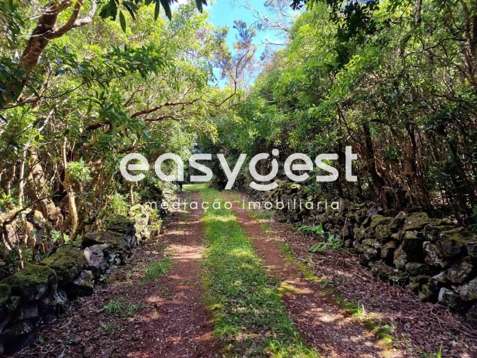 Terreno para Venda em Bandeiras Foto 15