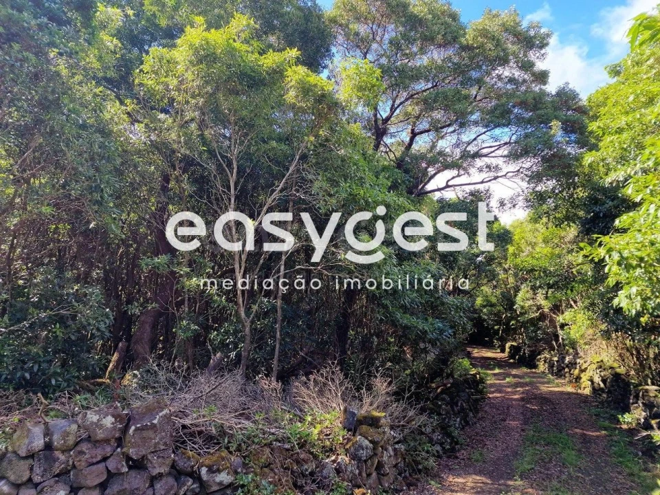 Terreno para Venda em Bandeiras Foto 16