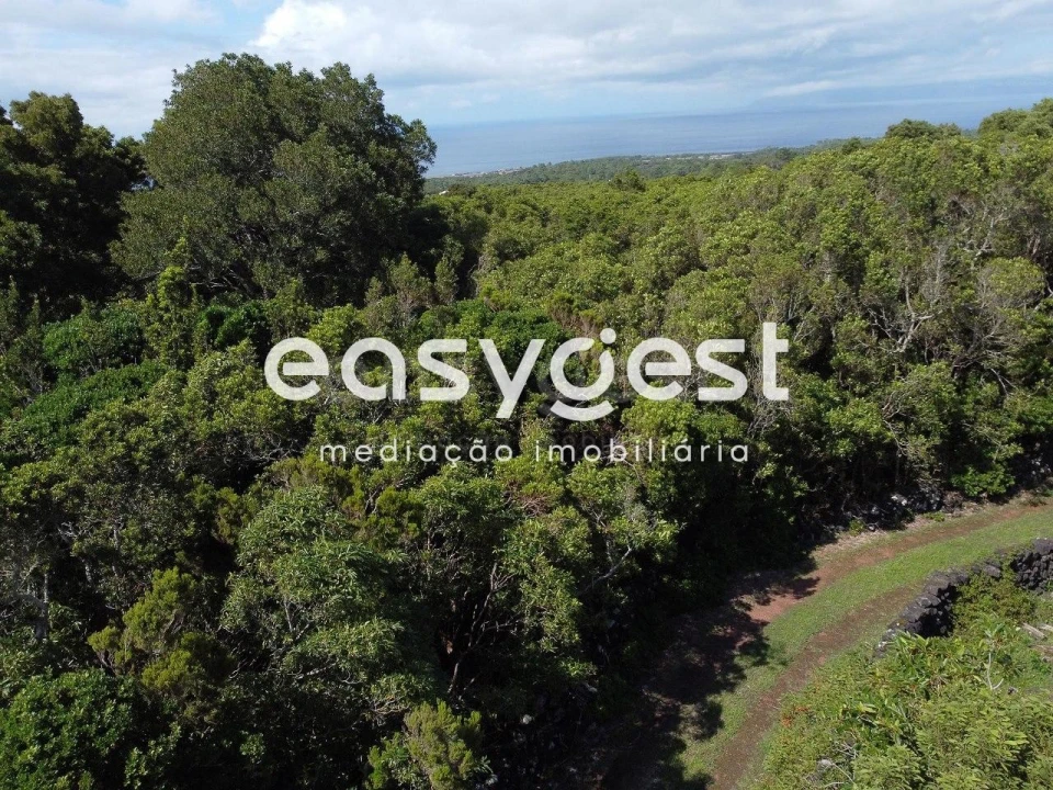 Terreno para Venda em Bandeiras Foto 24