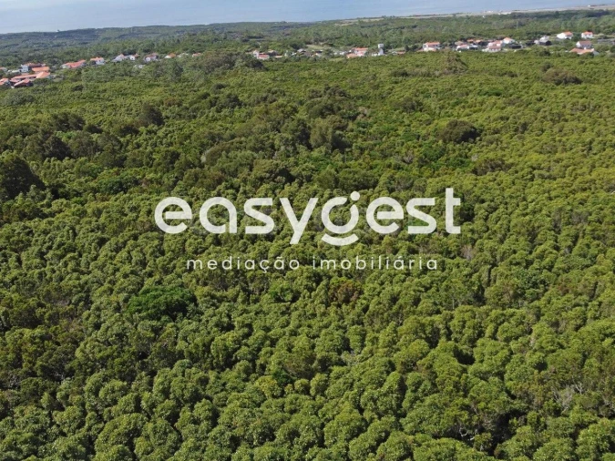 Terreno para Venda em Bandeiras Foto 2