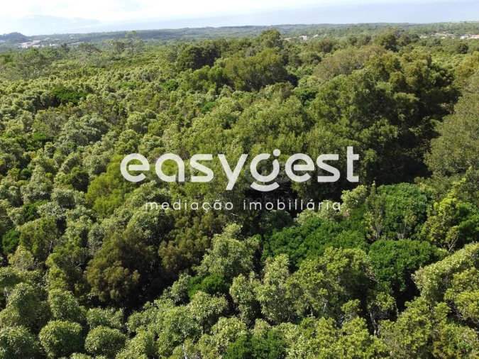 Terreno para Venda em Bandeiras Foto 10