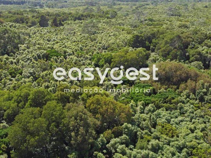 Terreno para Venda em Bandeiras Foto 23