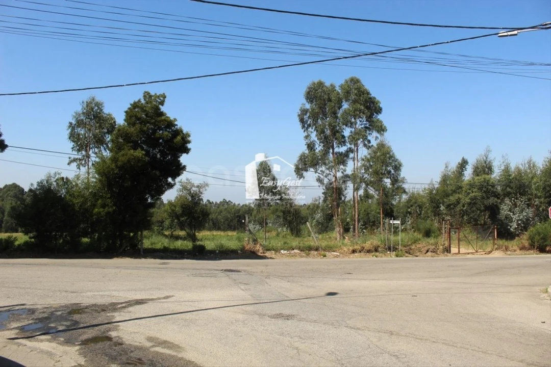 Terreno para Venda em Rio Meão Foto 3