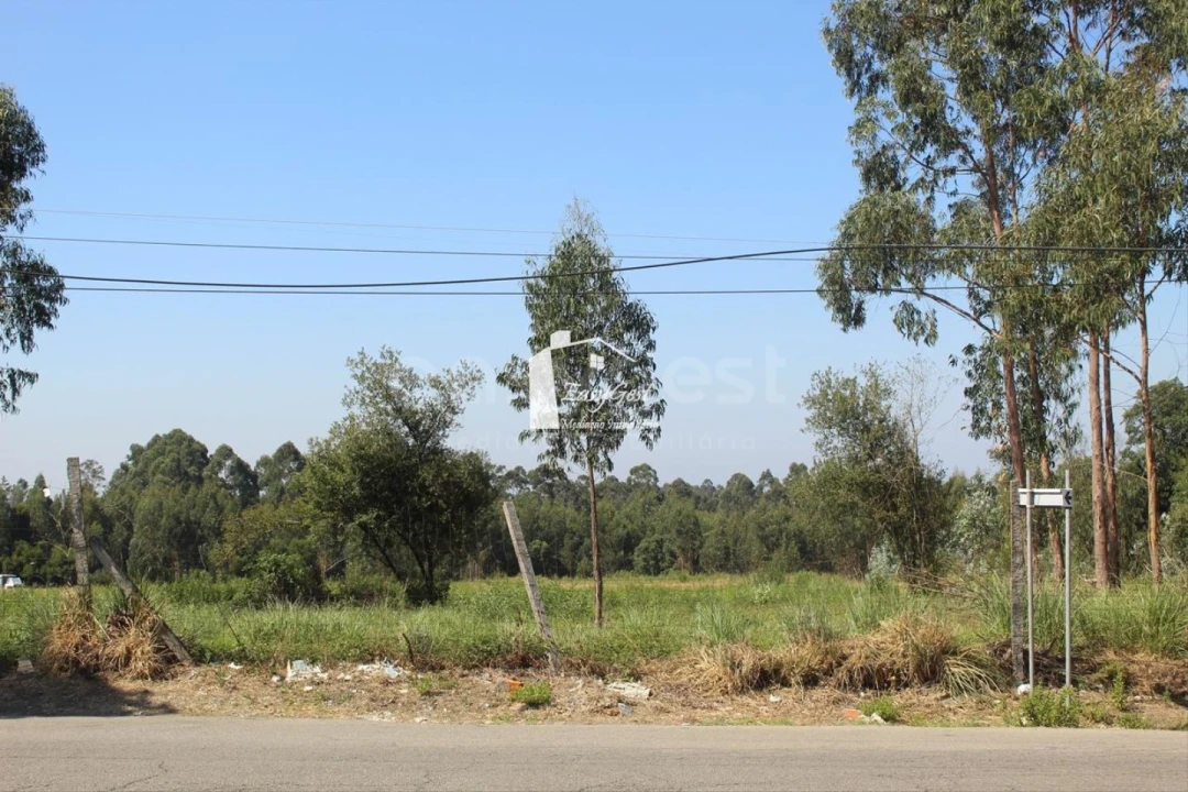 Terreno para Venda em Rio Meão Foto 5