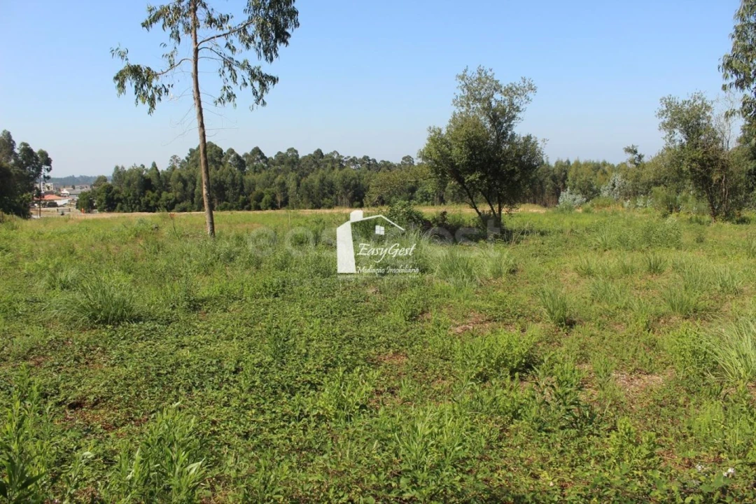 Terreno para Venda em Rio Meão Foto 8