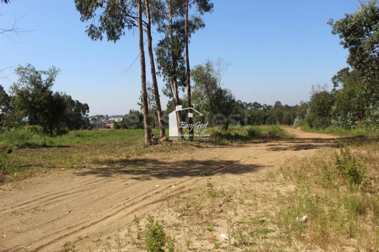 Terreno para Venda em Rio Meão Foto 7
