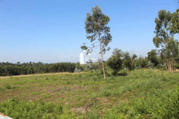 Terreno para Venda em Rio Meão Foto 13