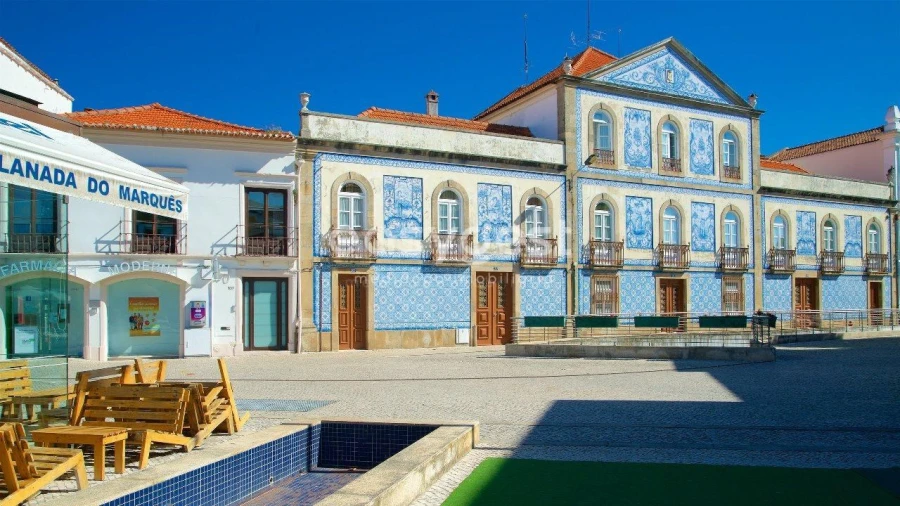 Terreno para Venda em Albergaria-A-Velha e Valmaior Foto 3
