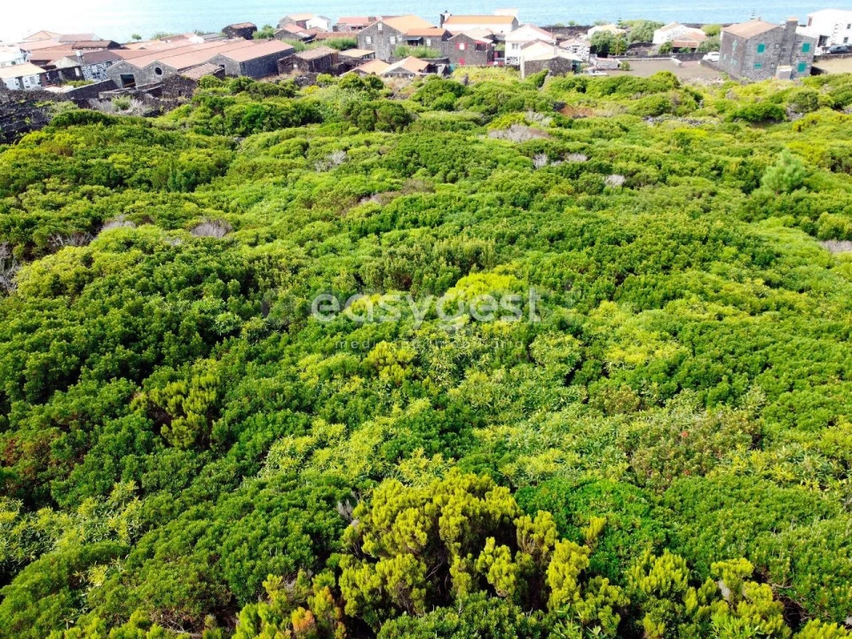 Terreno para Venda em Santa Luzia Foto 3