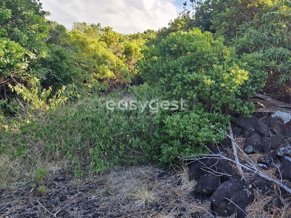 Terreno para Venda em Santa Luzia Foto 5