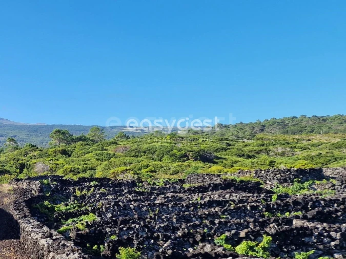Terreno para Venda em Santa Luzia Foto 1
