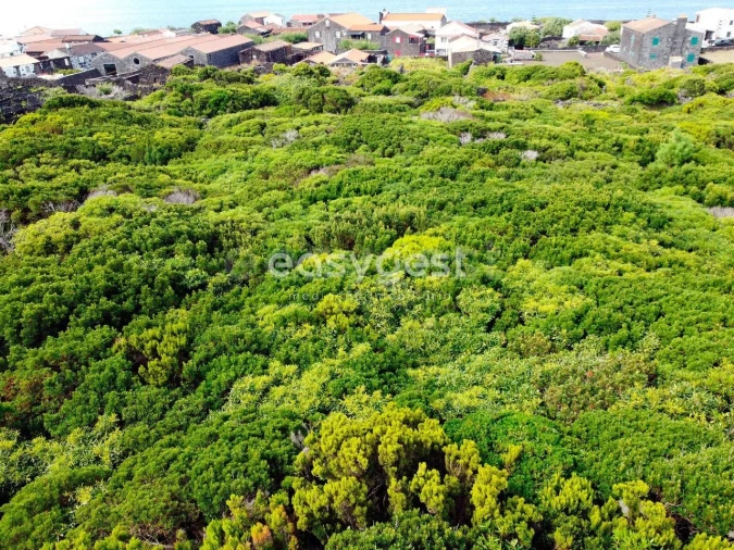 Terreno para Venda em Santa Luzia Foto 3