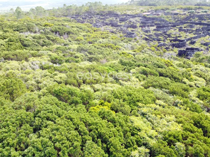 Terreno para Venda em Santa Luzia Foto 7