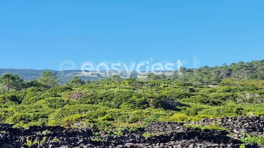 Terreno para Venda em Santa Luzia