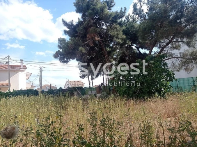 Terreno para Venda em Quinta do Conde Foto 1