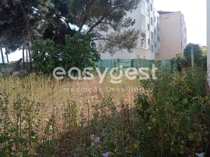 Terreno para Venda em Quinta do Conde Foto 2