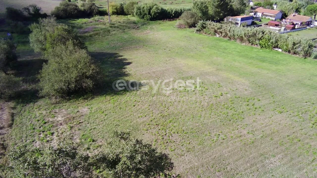 Terreno para Venda em Monte Real e Carvide Foto 2