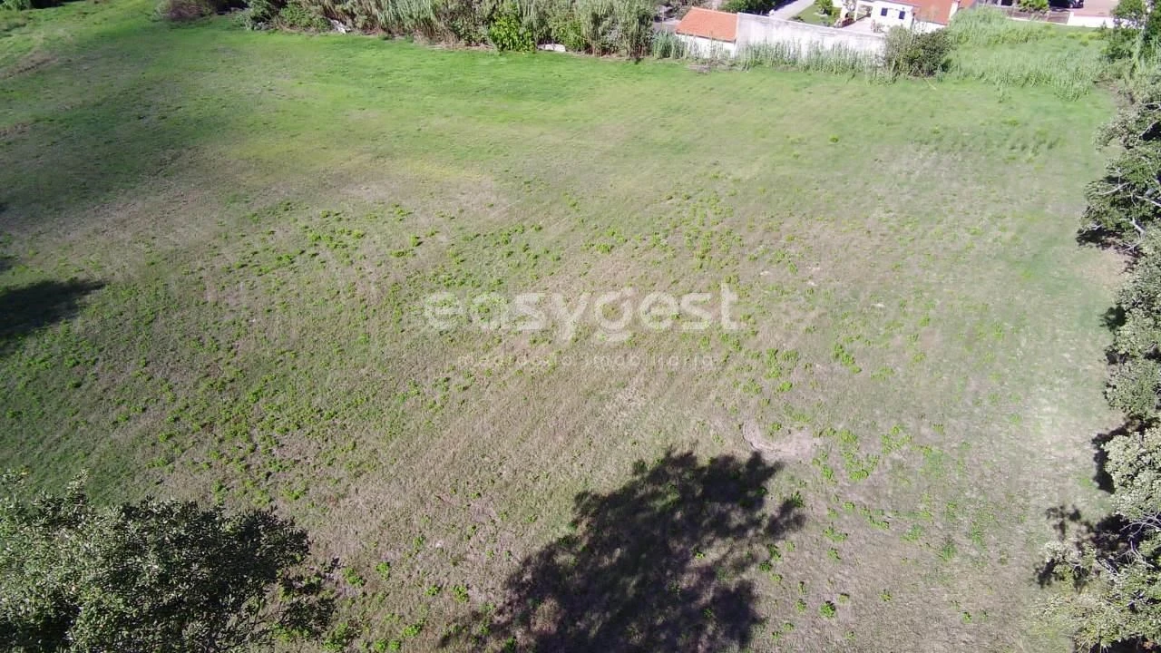 Terreno para Venda em Monte Real e Carvide Foto 3