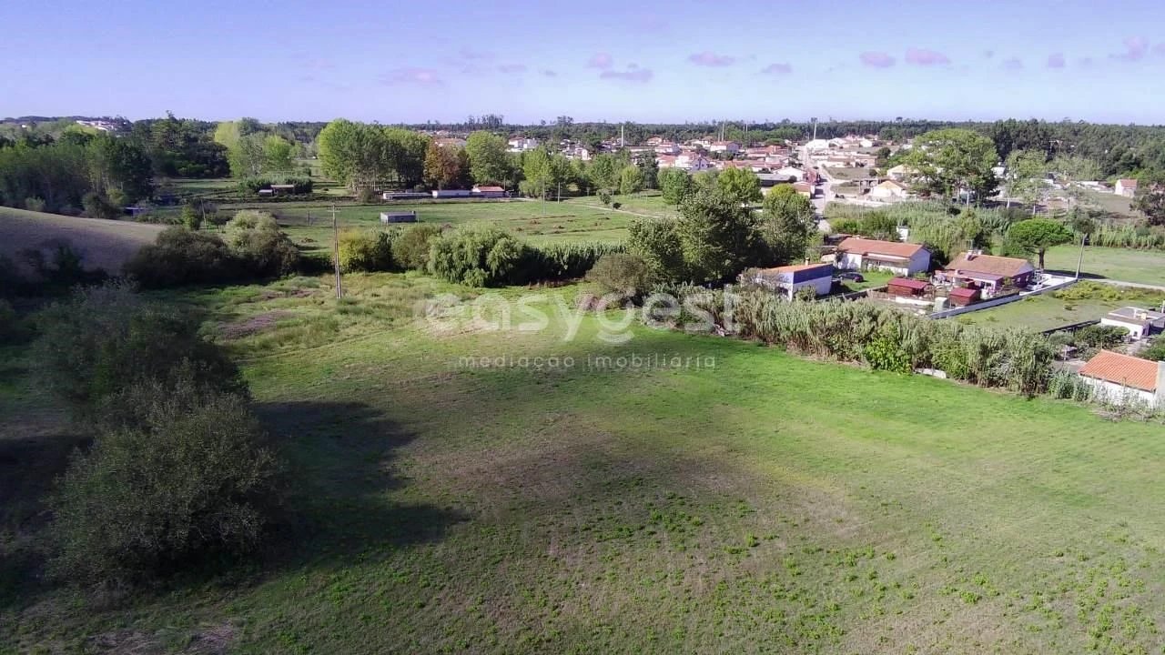 Terreno para Venda em Monte Real e Carvide Foto 7