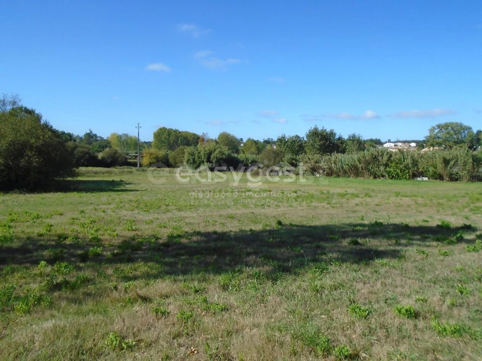 Terreno para Venda em Monte Real e Carvide Foto 10