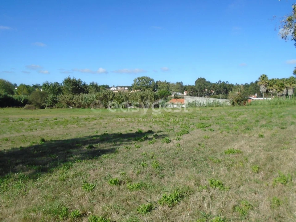 Terreno para Venda em Monte Real e Carvide Foto 11