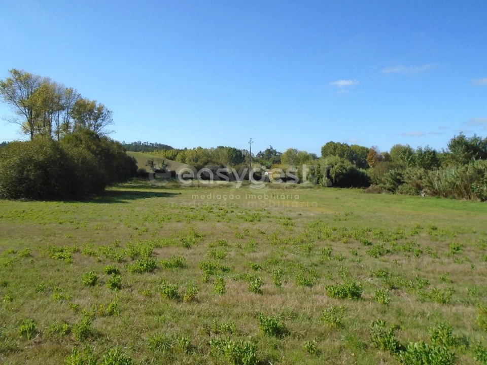 Terreno para Venda em Monte Real e Carvide Foto 12