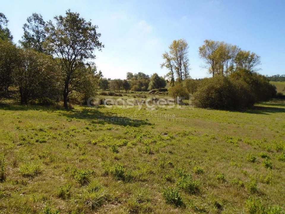 Terreno para Venda em Monte Real e Carvide Foto 14