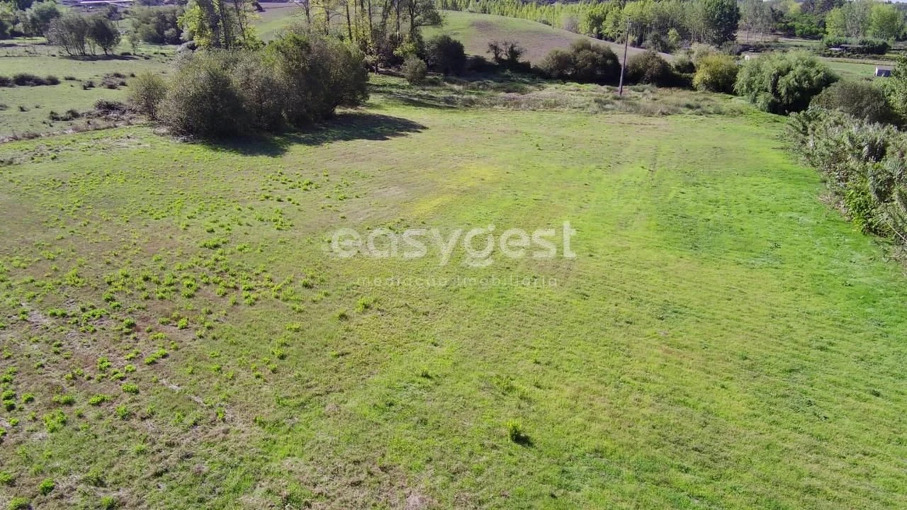 Terreno para Venda em Monte Real e Carvide Foto 15