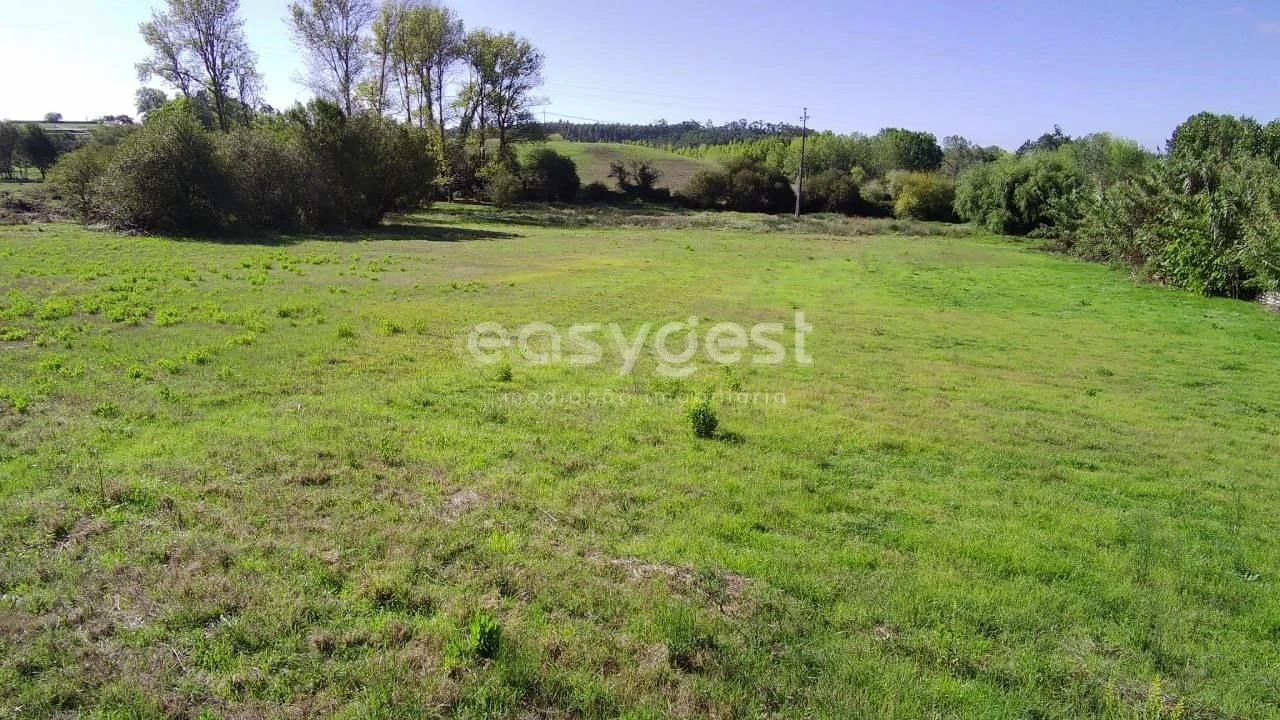 Terreno para Venda em Monte Real e Carvide Foto 16