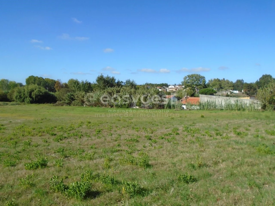 Terreno para Venda em Monte Real e Carvide Foto 17