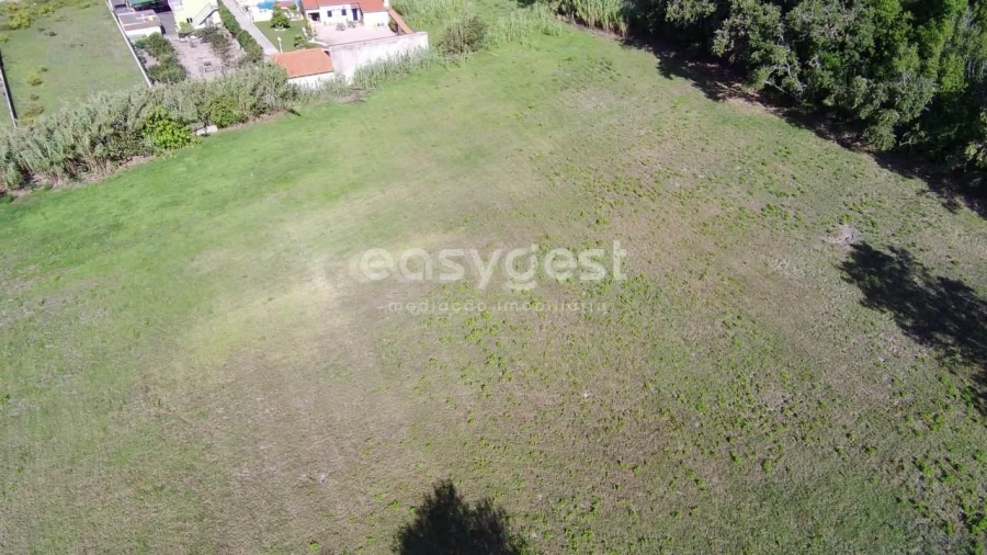 Terreno para Venda em Monte Real e Carvide Foto 4
