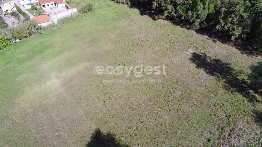 Terreno para Venda em Monte Real e Carvide Foto 5