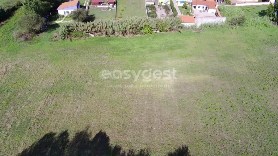 Terreno para Venda em Monte Real e Carvide Foto 6