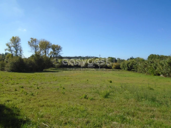 Terreno para Venda em Monte Real e Carvide Foto 8