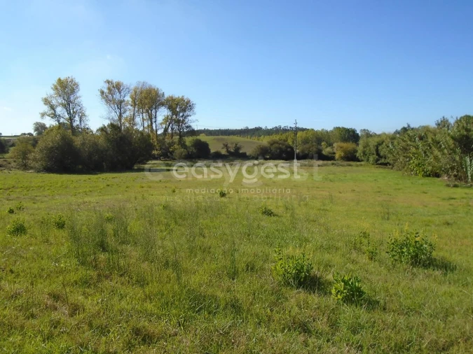 Terreno para Venda em Monte Real e Carvide Foto 9
