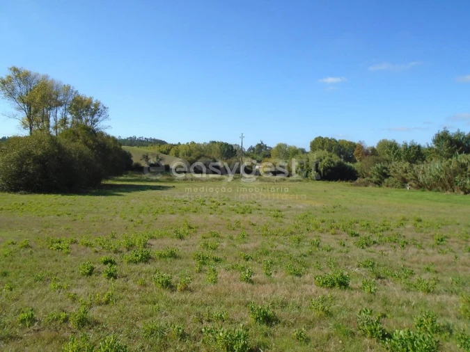 Terreno para Venda em Monte Real e Carvide Foto 12