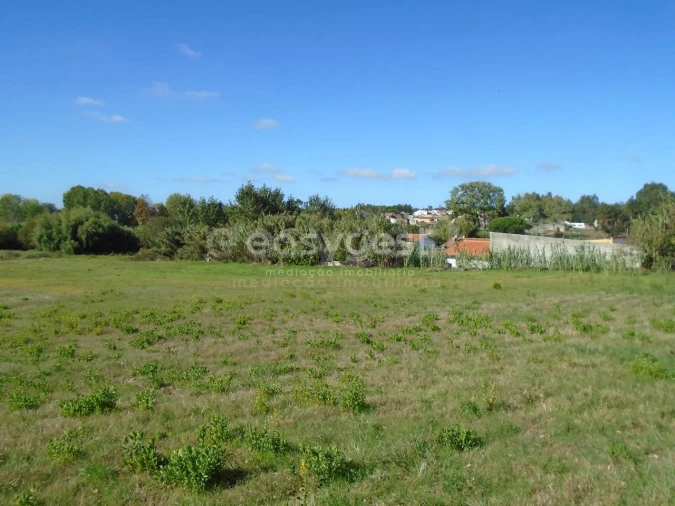 Terreno para Venda em Monte Real e Carvide Foto 17
