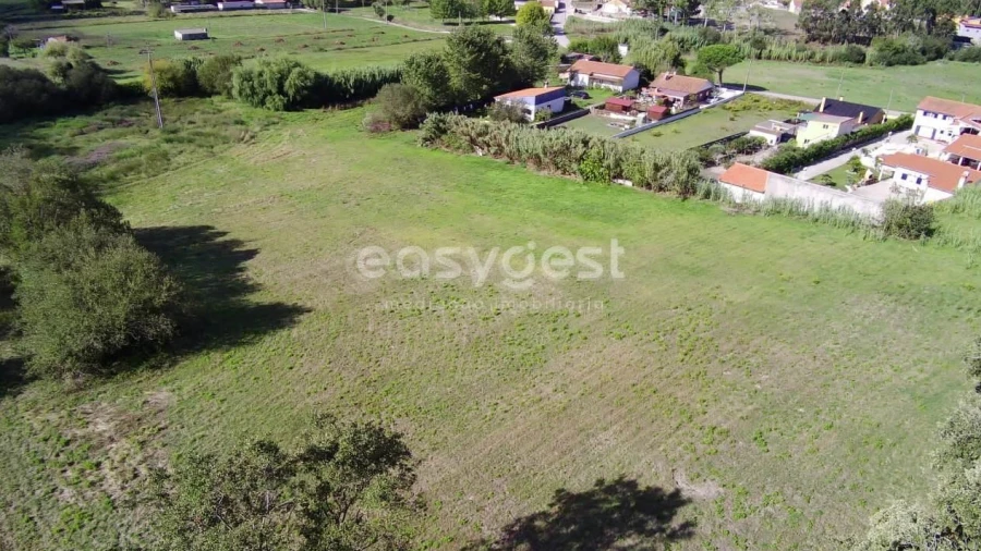 Terreno para Venda em Monte Real e Carvide