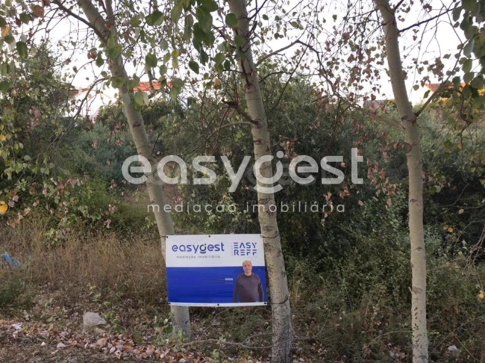 Terreno para Venda em Cebolais de Cima e Retaxo Foto 2
