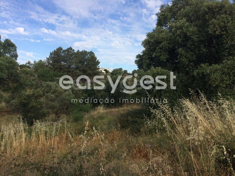 Terreno para Venda em Cebolais de Cima e Retaxo Foto 6