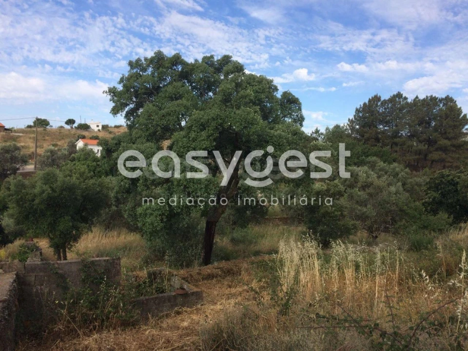 Terreno para Venda em Cebolais de Cima e Retaxo Foto 8
