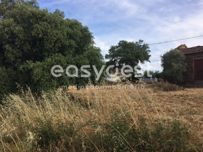 Terreno para Venda em Cebolais de Cima e Retaxo Foto 12
